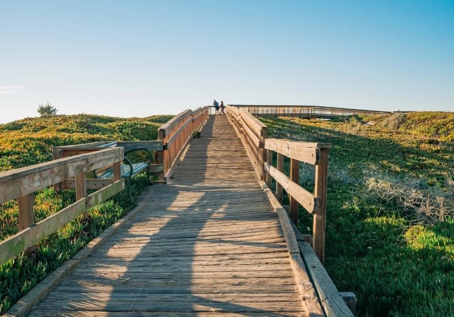 A wooden boardwalk stretching into the distance representing the path of living between cultures