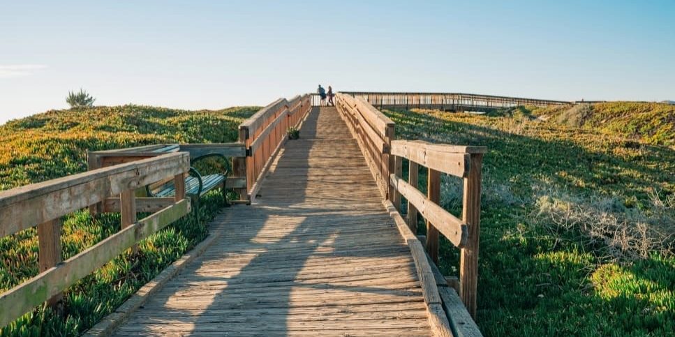 A wooden boardwalk stretching into the distance representing the path of living between cultures